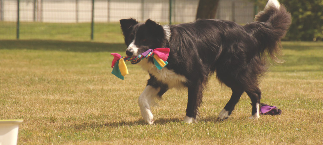 Spielzeug bringen und aufräumen