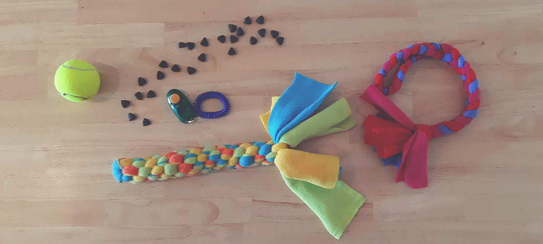 Belohnung und Strafe im Hundetraining