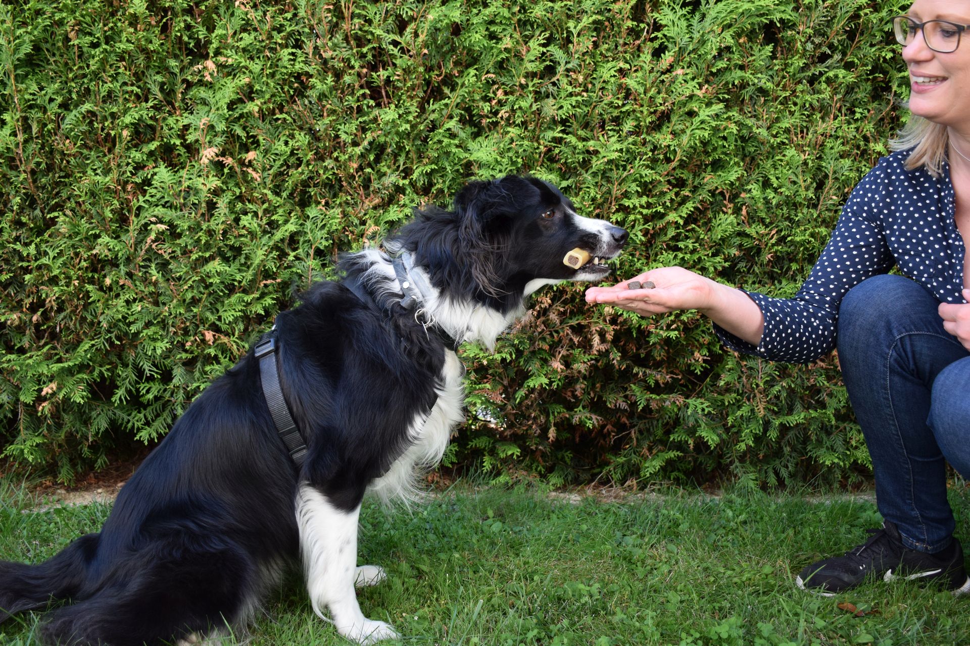 Etwas essbares ausgeben