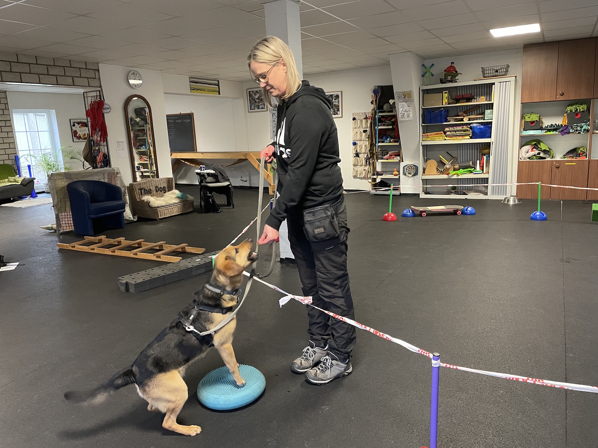 Minddog ® – für verhaltensoriginelle Hunde