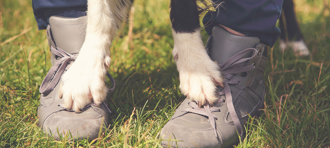 Wochenend-Trickseminar